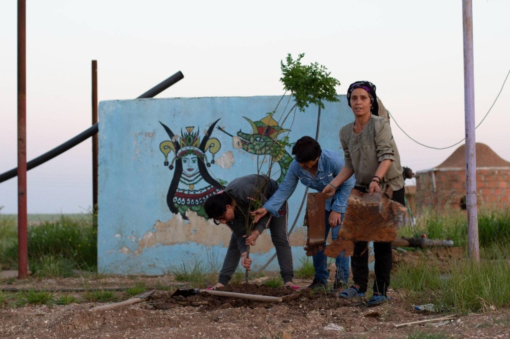 Raccontare il villaggio dall’atto fondativo, dentro Jinwar: intervista a Fabiana&nbsp;Cioni